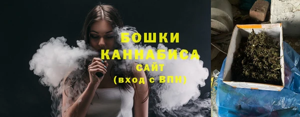 эйфоретик Арсеньев