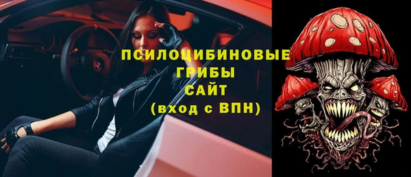 эйфоретик Арсеньев